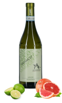 Adriano Marco e Vittorio Langhe Sauvignon DOC 2017