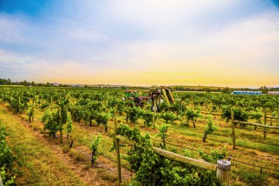 New South Wales - Hunter Valley