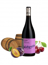 Bodegas Ostatu Valdepedro 2020