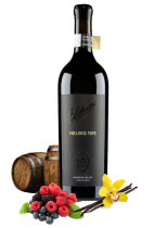 Elderton Helbig 1915 Shiraz 2019