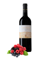 Tenuta di Sesta Camponovo 2020 IGT