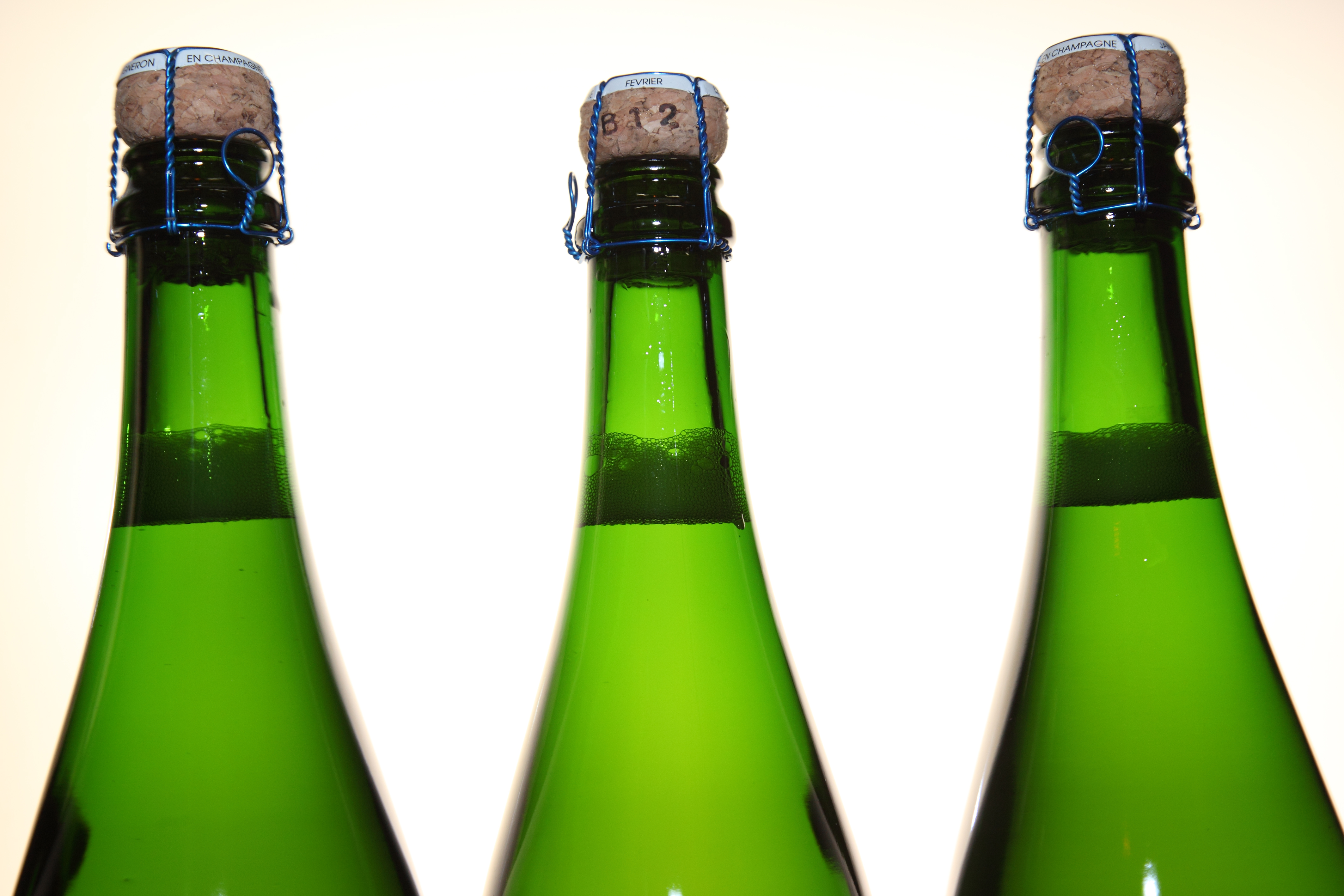 Degustace bublin ve Vindomu 14. 7.