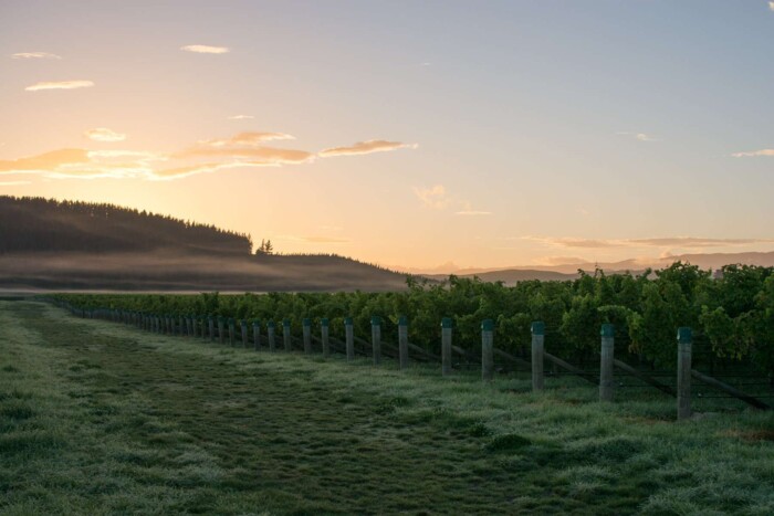 Marlborough