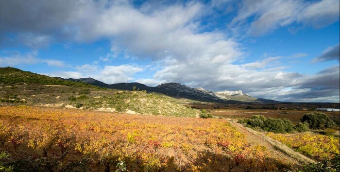 Rioja