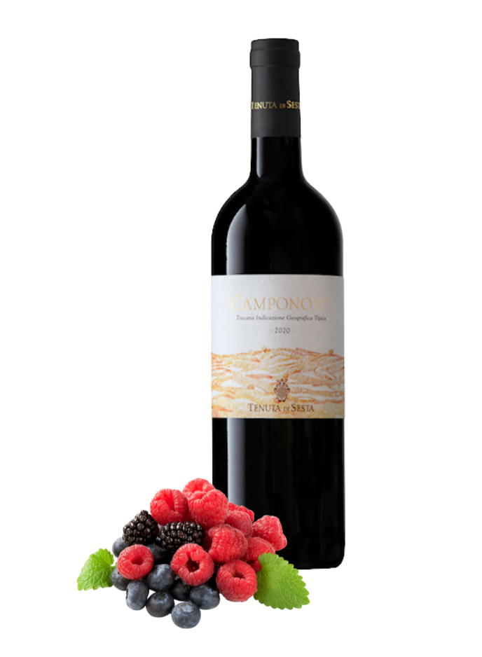 Tenuta di Sesta Camponovo 2020 IGT