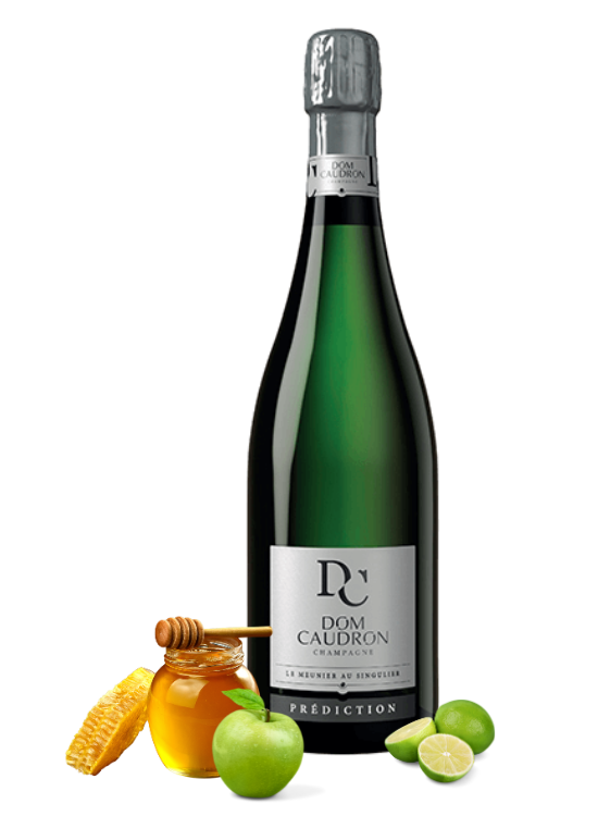 Dom Caudron Prediction Brut