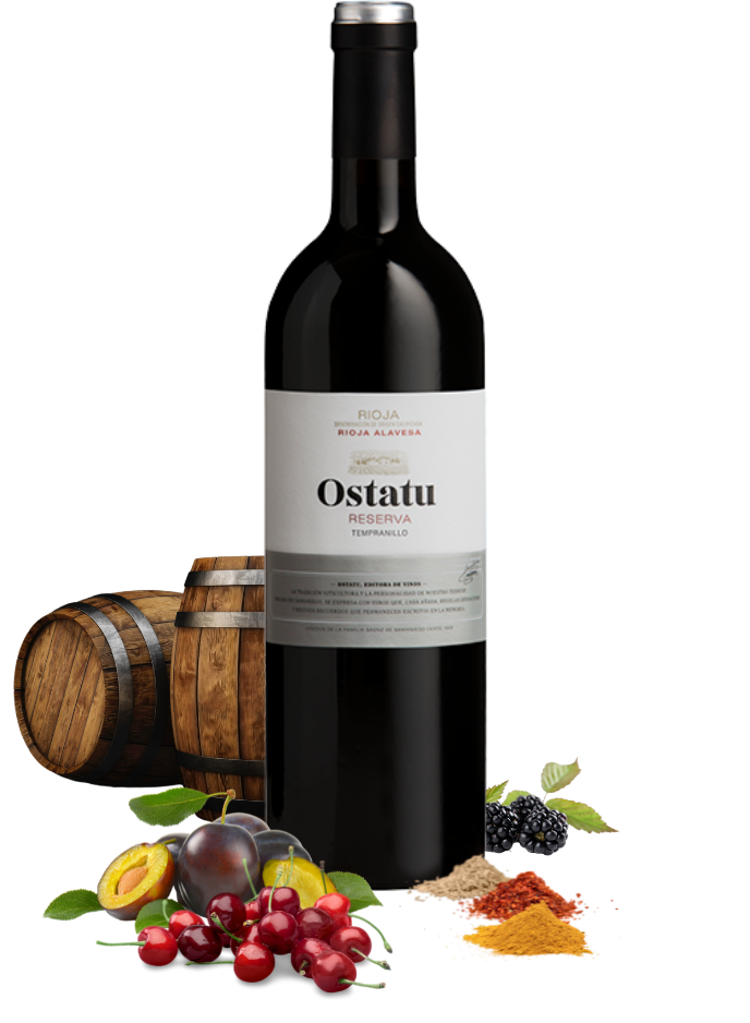 Bodegas Ostatu Reserva 2013