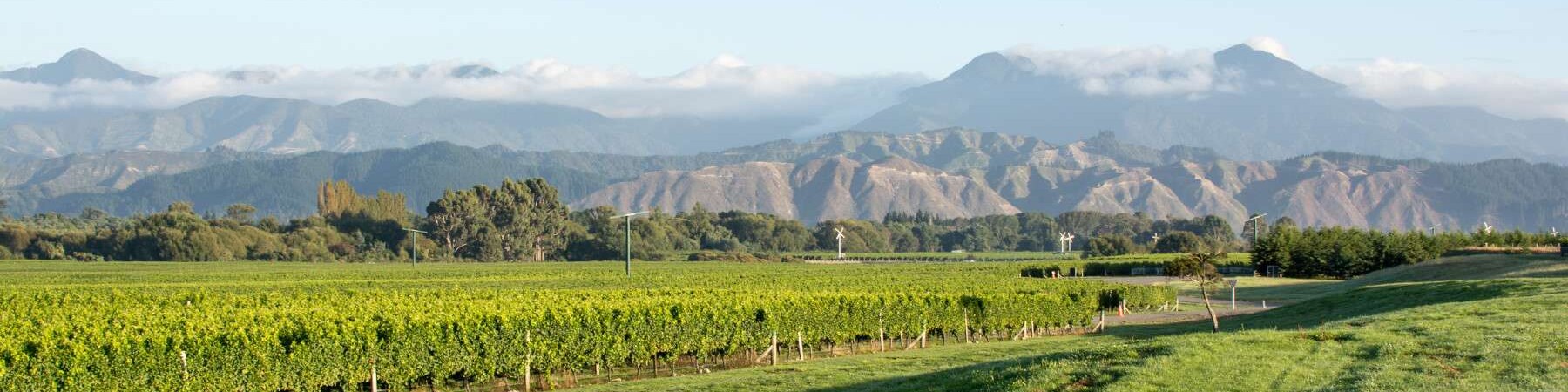 Marlborough
