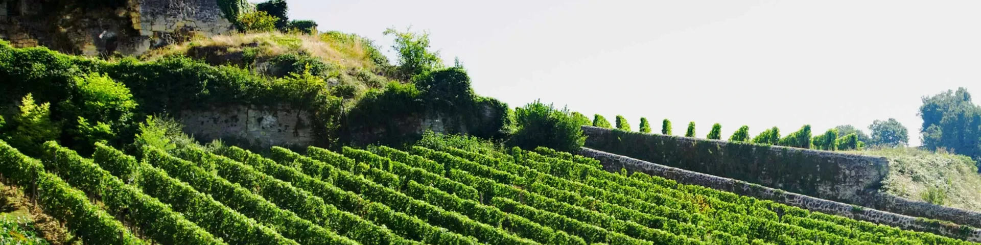 Château Tour Marcillanet