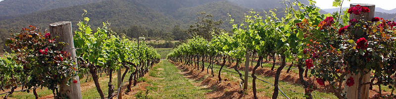 New South Wales - Hunter Valley
