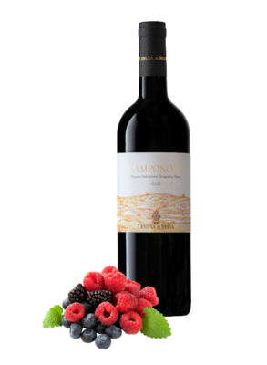 Tenuta di Sesta Camponovo 2020 IGT
