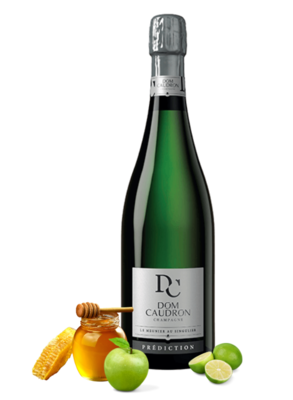 Dom Caudron Prediction Natur Brut