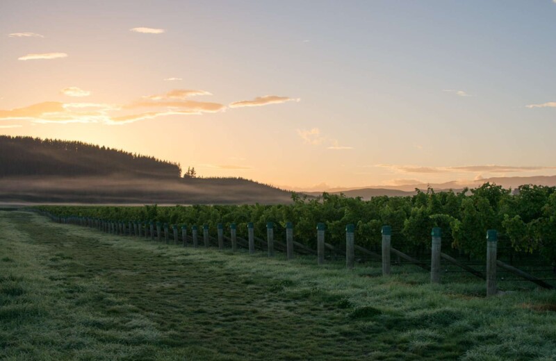Marlborough