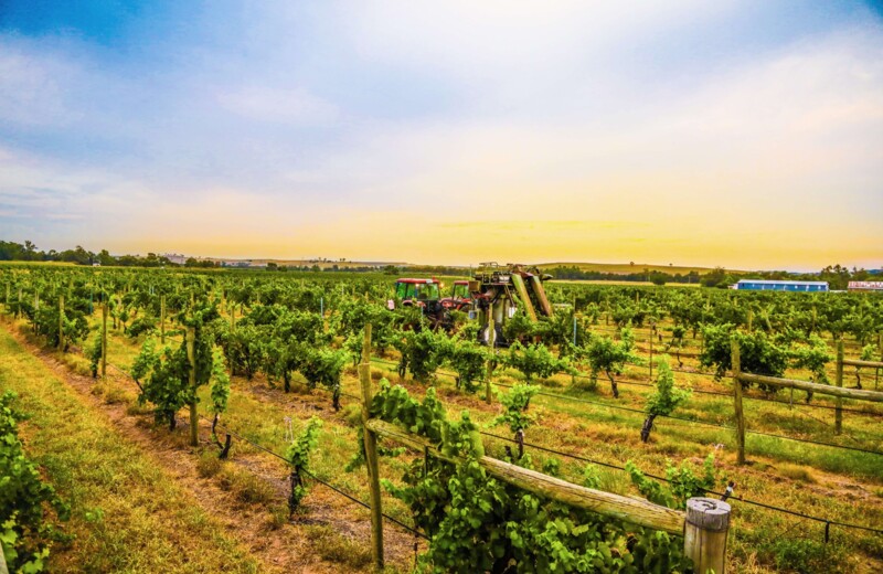 New South Wales - Hunter Valley
