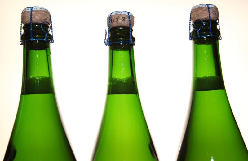 Degustace bublin ve Vindomu 14. 7.
