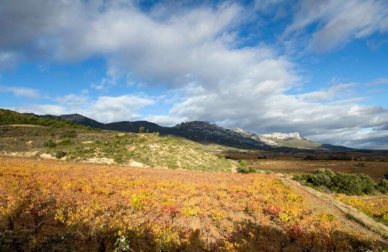 Rioja